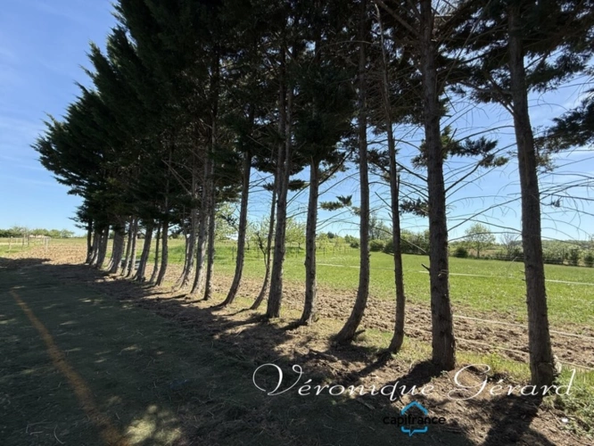 Photos 24 - Équestre - Ancien corps de ferme en pierre du XVIIIe siècle à LAUZUN