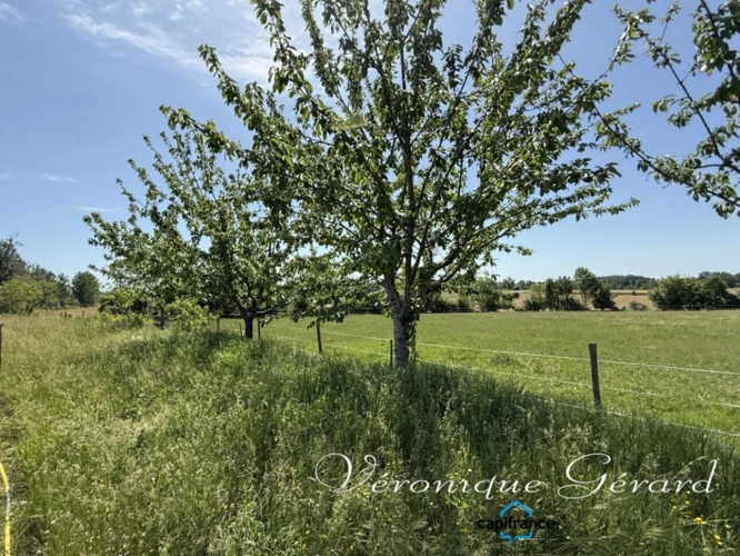 Photos 25 - Équestre - Ancien corps de ferme en pierre du XVIIIe siècle à LAUZUN
