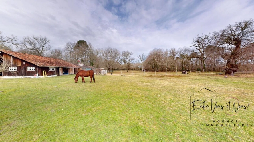 Photos 14 - Equestrian - PROPRIÉTÉ ÉQUESTRE+GITE, 7HA