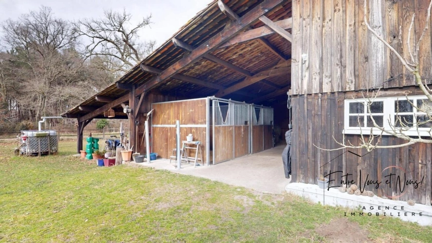 Photos 18 - Equestrian - PROPRIÉTÉ ÉQUESTRE+GITE, 7HA