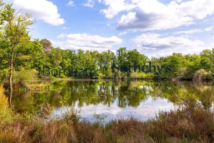 Photos 6 - Prestige - BORDEAUX 1H - SOMPTUEUSE PROPRIÉTÉ DE CAMPAGNE - 41HA - LAC PRIVÉ - DOMAINE UNIQUE