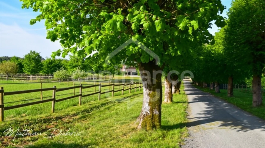 Photos 3 - Prestige - Domaine de caractère du XVIIᵉ siècle rénové - Propriété de charme avec piscine et parc arboré - Entre Périgueux et Bergerac