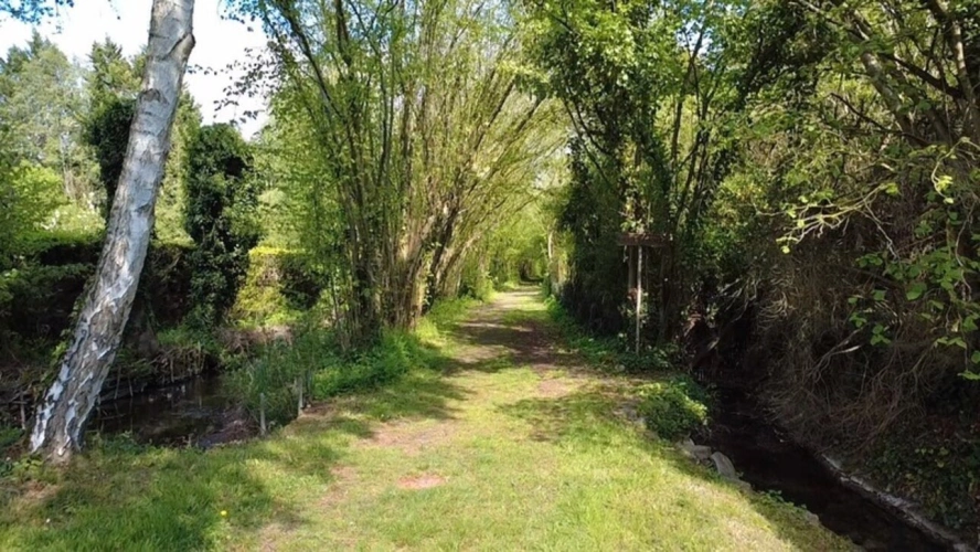 Photos 16 - Prestige - Maison de caractère – 321 m² habitables – Parc arboré – Secteur recherché