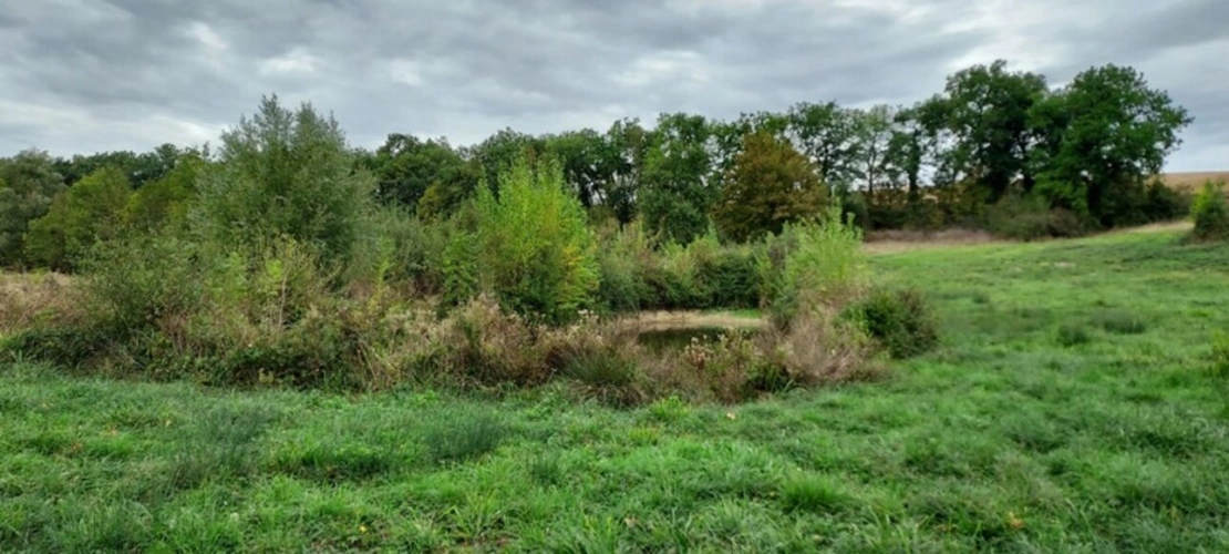Photos 1 - Rurale - Dpt Gers (32), à vendre GIMBREDE terrain de loisirs, avec lac de pêche
