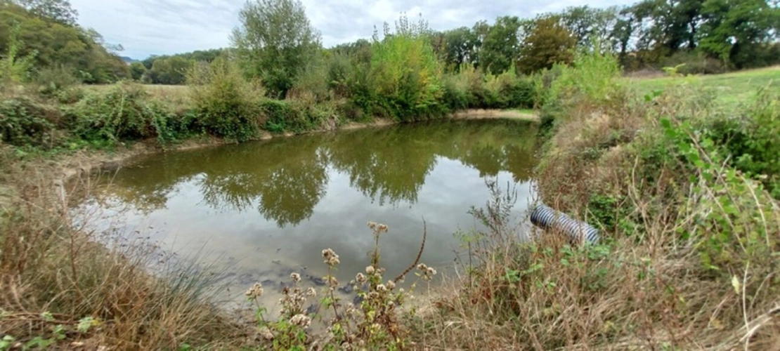 Photos 2 - Rurale - Dpt Gers (32), à vendre GIMBREDE terrain de loisirs, avec lac de pêche