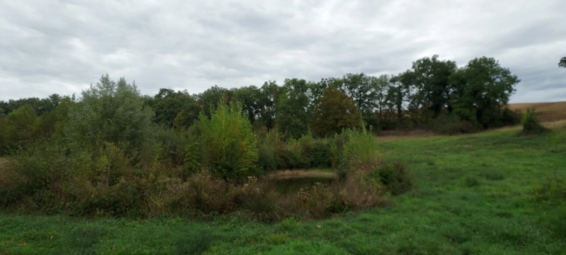 Photos 3 - Rurale - Dpt Gers (32), à vendre GIMBREDE terrain de loisirs, avec lac de pêche