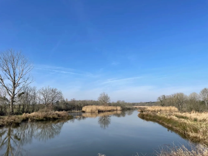 Photos 1 - Forestière - Exceptionnel domaine cynégétique et halieutique dans la Bresse