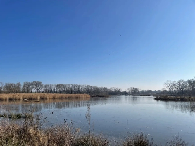 Photos 2 - Forestière - Exceptionnel domaine cynégétique et halieutique dans la Bresse