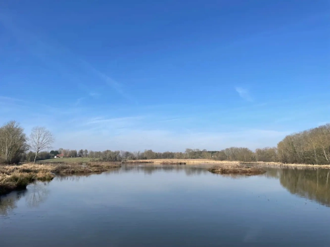 Photos 3 - Forestière - Exceptionnel domaine cynégétique et halieutique dans la Bresse