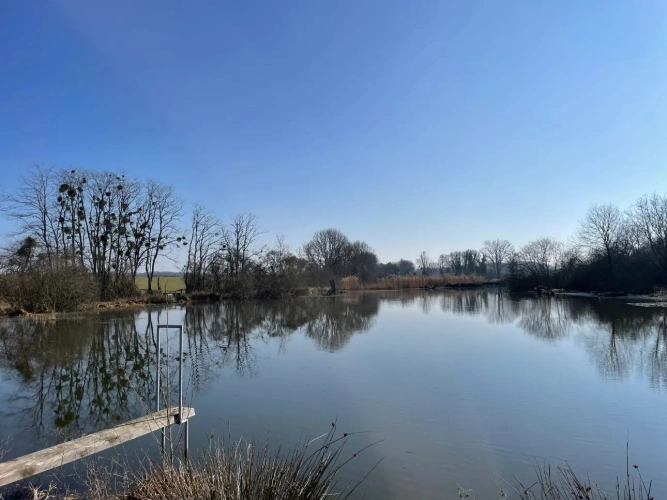 Photos 4 - Forestière - Exceptionnel domaine cynégétique et halieutique dans la Bresse