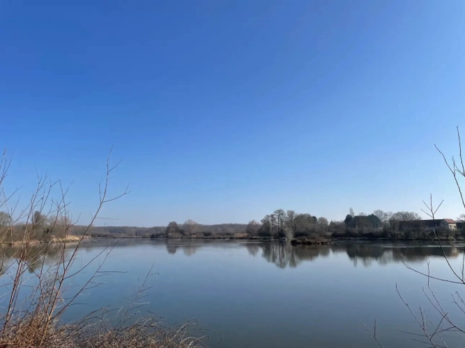 Photos 5 - Forestière - Exceptionnel domaine cynégétique et halieutique dans la Bresse