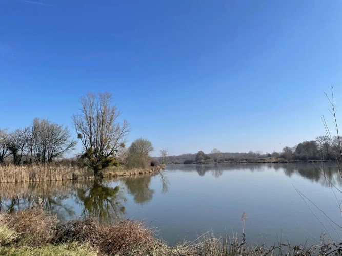 Photos 6 - Forestière - Exceptionnel domaine cynégétique et halieutique dans la Bresse