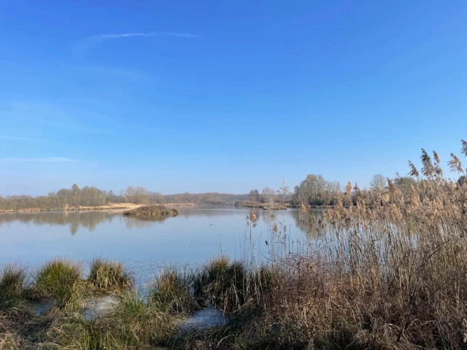 Photos 7 - Forestière - Exceptionnel domaine cynégétique et halieutique dans la Bresse