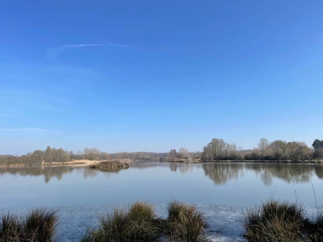 Photos 8 - Forestière - Exceptionnel domaine cynégétique et halieutique dans la Bresse