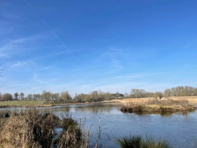Photos 10 - Forestière - Exceptionnel domaine cynégétique et halieutique dans la Bresse