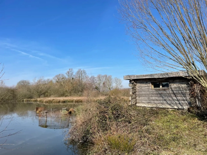 Photos 11 - Forestière - Exceptionnel domaine cynégétique et halieutique dans la Bresse