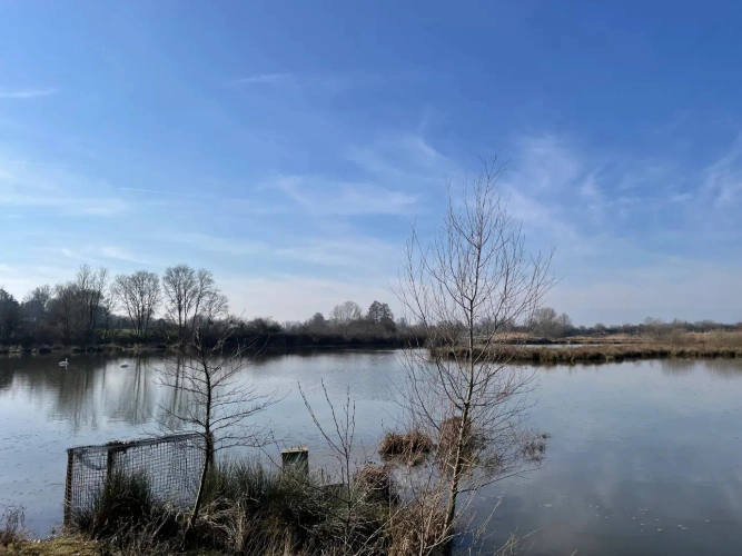 Photos 14 - Forestière - Exceptionnel domaine cynégétique et halieutique dans la Bresse