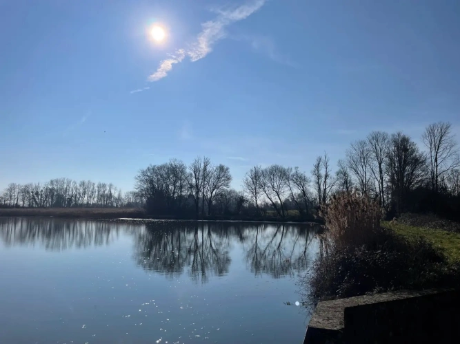 Photos 15 - Forestière - Exceptionnel domaine cynégétique et halieutique dans la Bresse