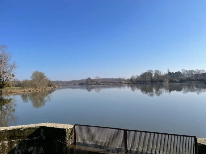 Photos 16 - Forestière - Exceptionnel domaine cynégétique et halieutique dans la Bresse