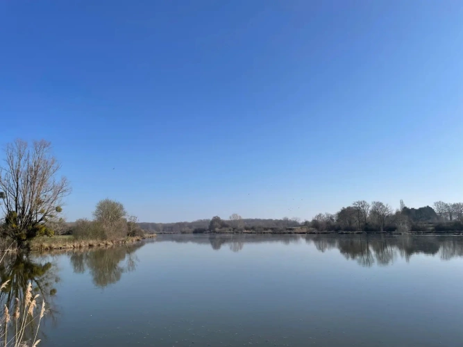 Photos 17 - Forestière - Exceptionnel domaine cynégétique et halieutique dans la Bresse