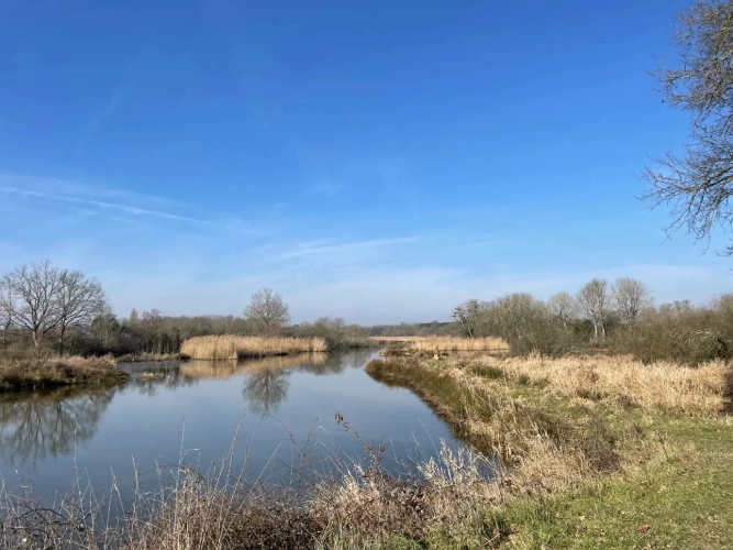 Photos 18 - Forestière - Exceptionnel domaine cynégétique et halieutique dans la Bresse