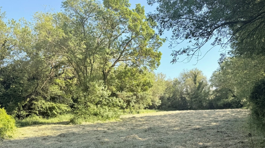 Photos 5 - Equestrian - Characterful agricultural property at the gates of Fontvieille 2.5 hectares