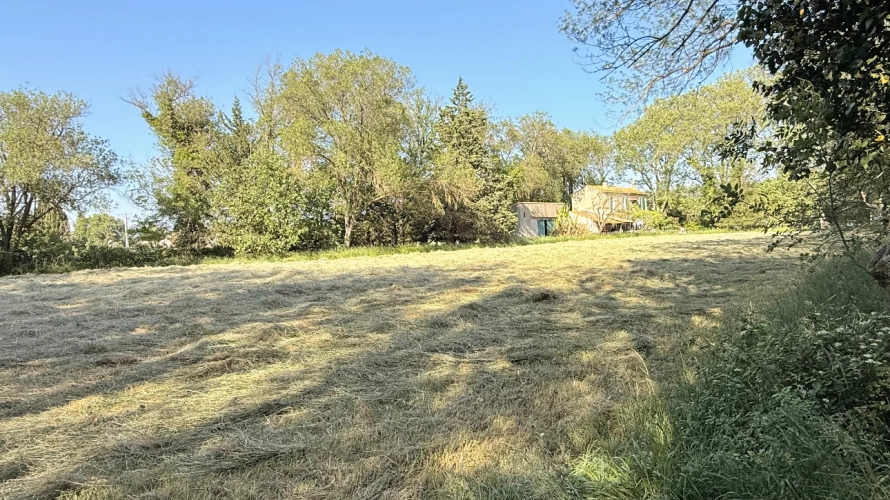 Photos 6 - Equestrian - Characterful agricultural property at the gates of Fontvieille 2.5 hectares