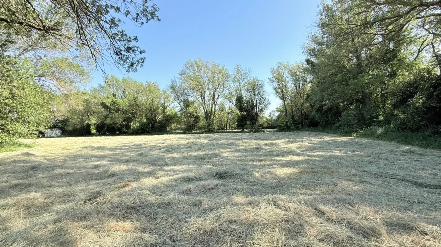 Photos 7 - Equestrian - Characterful agricultural property at the gates of Fontvieille 2.5 hectares