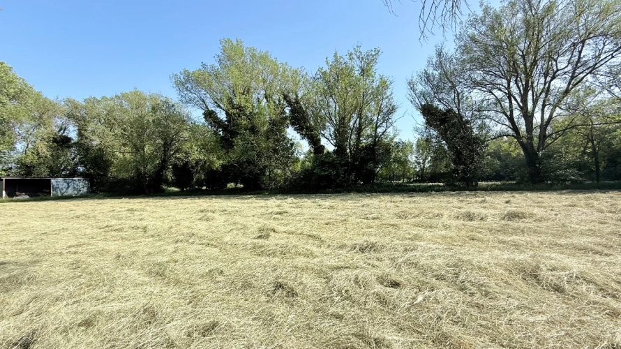 Photos 8 - Equestrian - Characterful agricultural property at the gates of Fontvieille 2.5 hectares