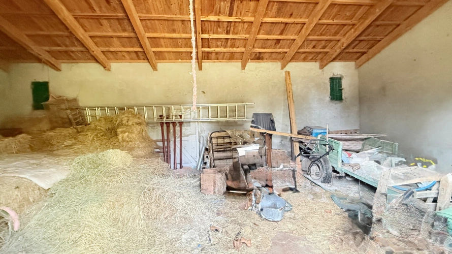 Photos 9 - Equestrian - Characterful agricultural property at the gates of Fontvieille 2.5 hectares