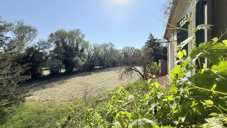 Photos 11 - Equestrian - Characterful agricultural property at the gates of Fontvieille 2.5 hectares