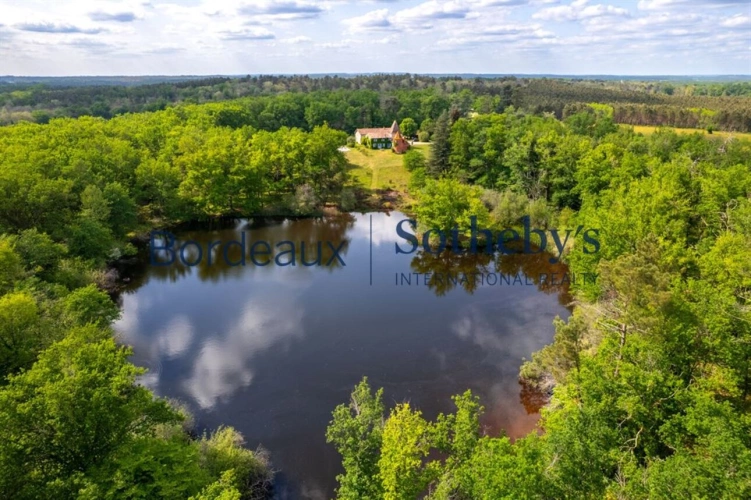 Photos 5 - Prestige - BORDEAUX 1H - SOMPTUEUSE PROPRIÉTÉ DE CAMPAGNE - 41HA - LAC PRIVÉ - DOMAINE UNIQUE
