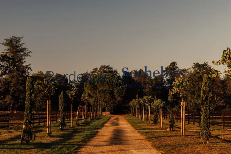 Photos 15 - Prestige - CHÂTEAU XVIII° - PISCINE - SPA - DÉPENDANCES - DOMAINE ÉQUESTRE