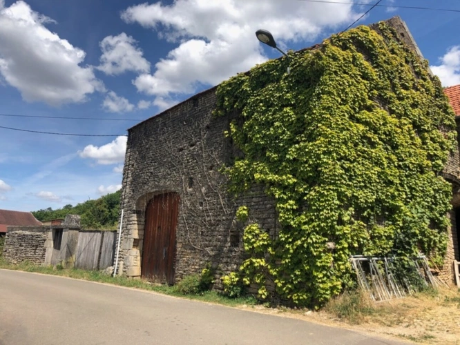 Photos 1 - Rurale - Grange avec cour et jardin proche MONTBARD (21500)