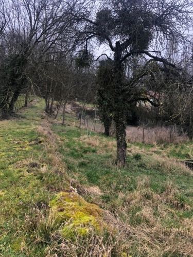 Photos 8 - Rurale - Grange avec cour et jardin proche MONTBARD (21500)