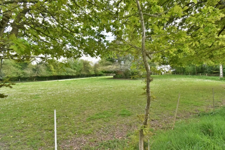 Photos 14 - Équestre - Domaine équestre sur 12 hectares