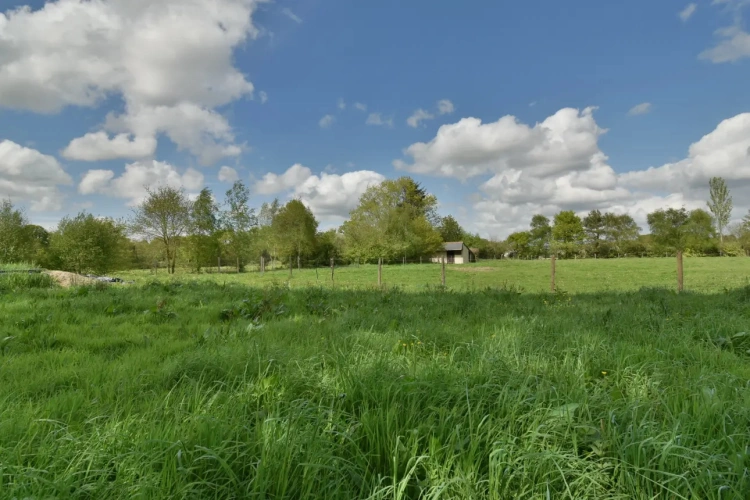 Photos 15 - Équestre - Domaine équestre sur 12 hectares