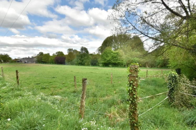 Photos 16 - Équestre - Domaine équestre sur 12 hectares