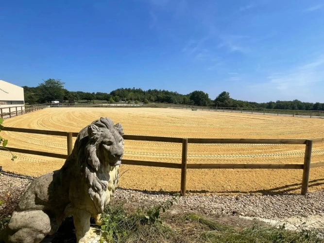 Photos 8 - Équestre - Nouvelle Aquitaine - Propriété équestre de qualité