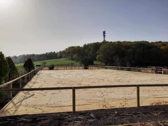 Photos 9 - Équestre - Nouvelle Aquitaine - Propriété équestre de qualité