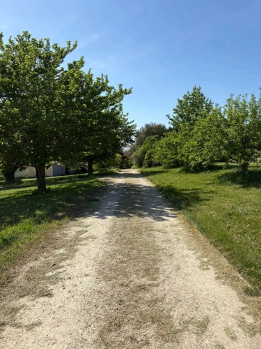 Photos 11 - Équestre - Nouvelle Aquitaine - Propriété équestre de qualité