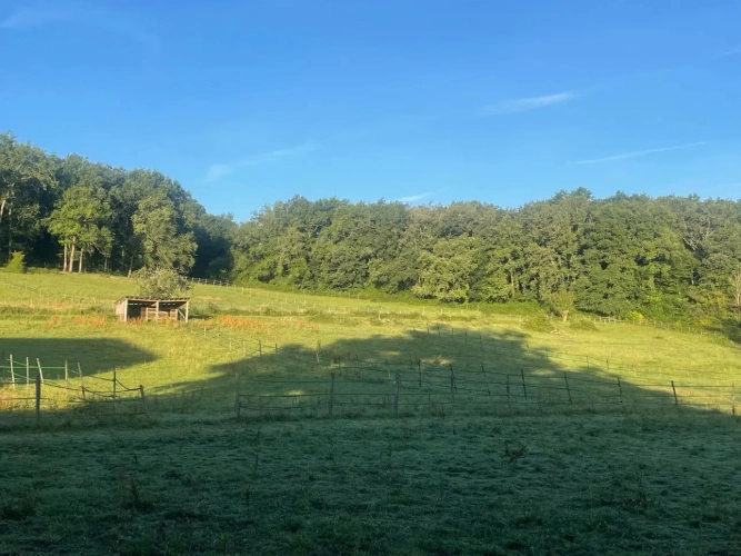 Photos 12 - Équestre - Nouvelle Aquitaine - Propriété équestre de qualité