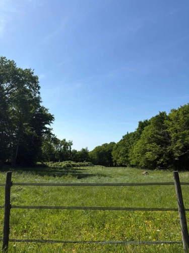 Photos 13 - Équestre - Nouvelle Aquitaine - Propriété équestre de qualité