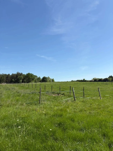 Photos 14 - Équestre - Nouvelle Aquitaine - Propriété équestre de qualité