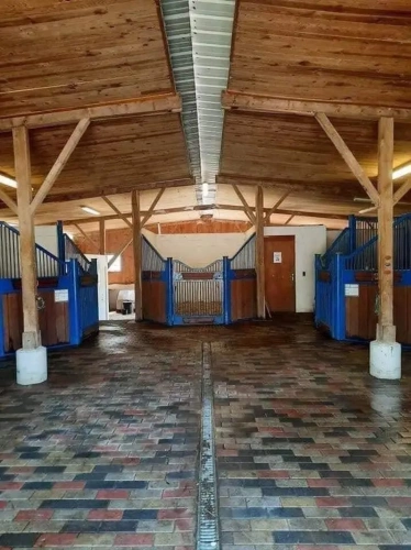 Photos 15 - Équestre - Nouvelle Aquitaine - Propriété équestre de qualité