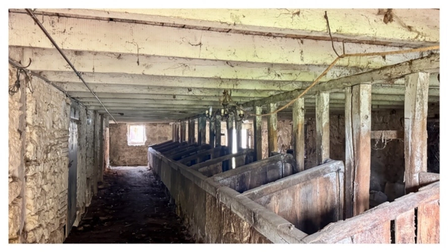Photos 8 - Rurale - Corps de ferme avec dépendances sur 2 ha – Pont-du-Casse (proche Agen)