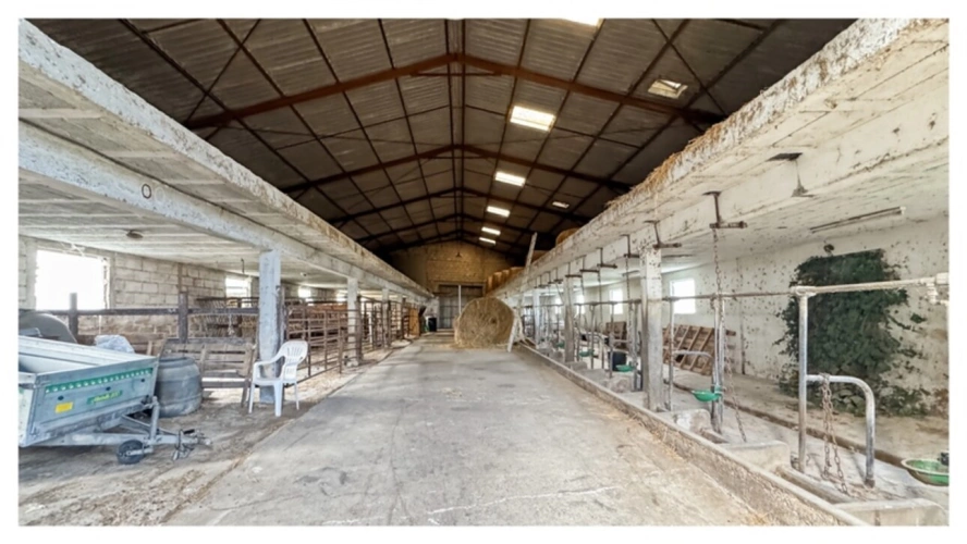 Photos 11 - Rurale - Corps de ferme avec dépendances sur 2 ha – Pont-du-Casse (proche Agen)