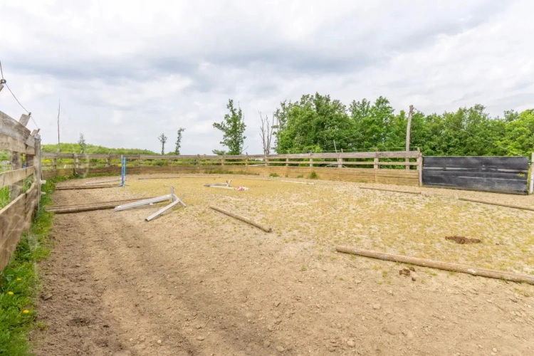 Photos 9 - Équestre - Ecurie d'élevage et de valorisation de chevaux et poneys