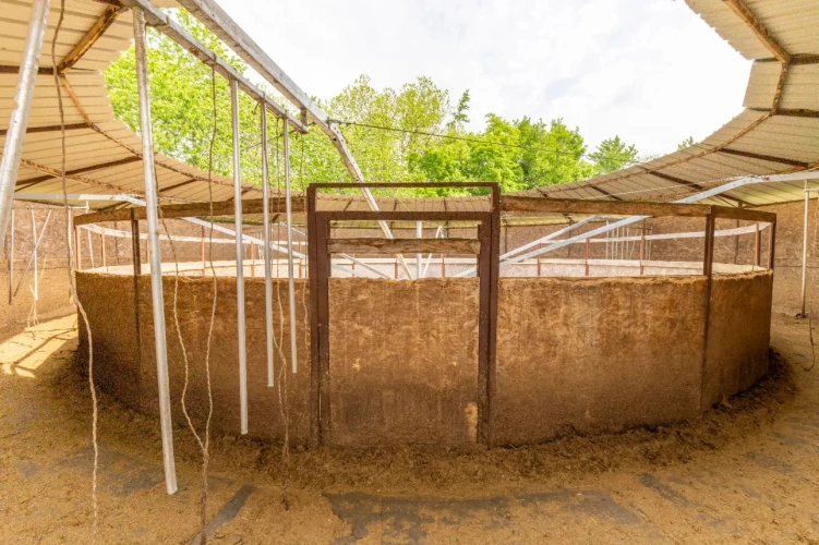 Photos 10 - Équestre - Ecurie d'élevage et de valorisation de chevaux et poneys