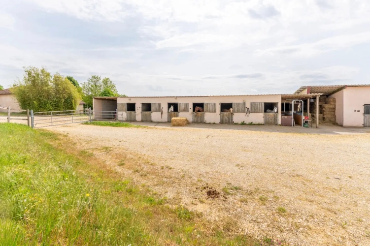 Photos 11 - Équestre - Ecurie d'élevage et de valorisation de chevaux et poneys
